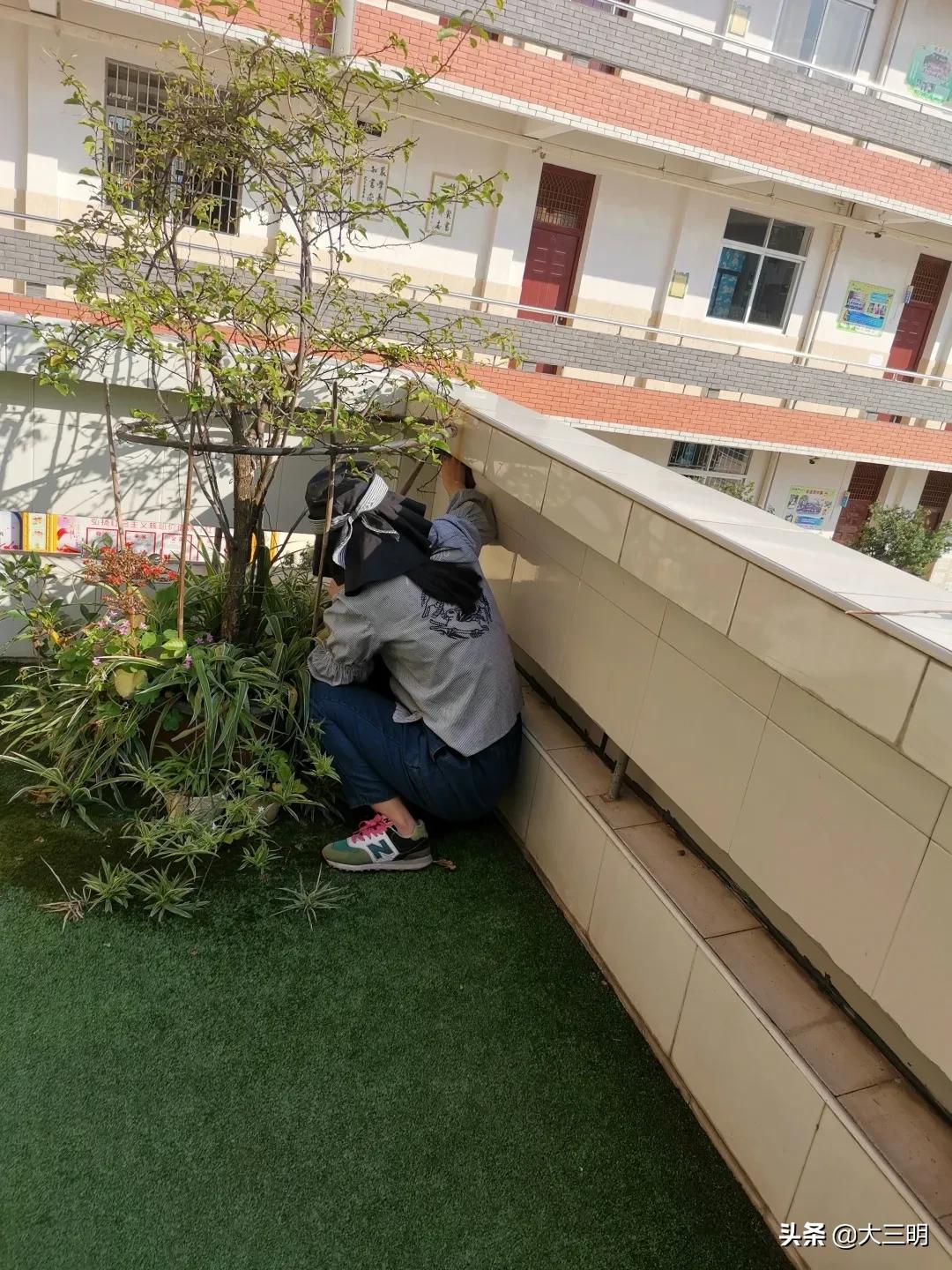 校园抗疫新闻,校园复学防疫报道