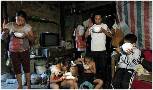 学养天鹅的技术,学养天鹅技术