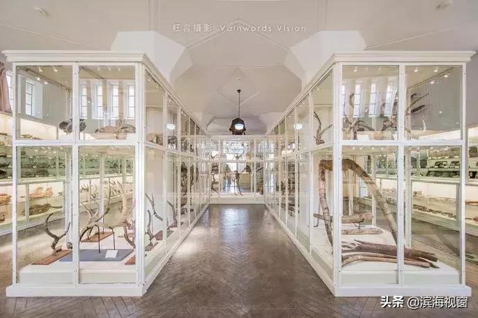 天津免费的旅游景点,塘沽一日游必去景点天津免费海滩