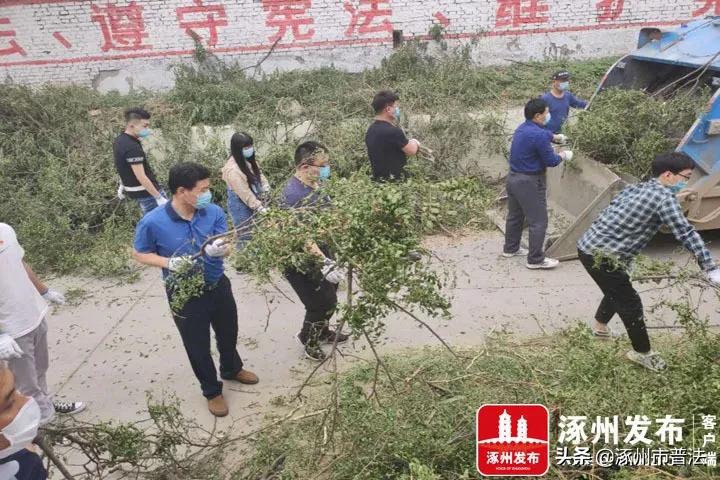 双报到单位进社区,社区双报到双服务活动清单