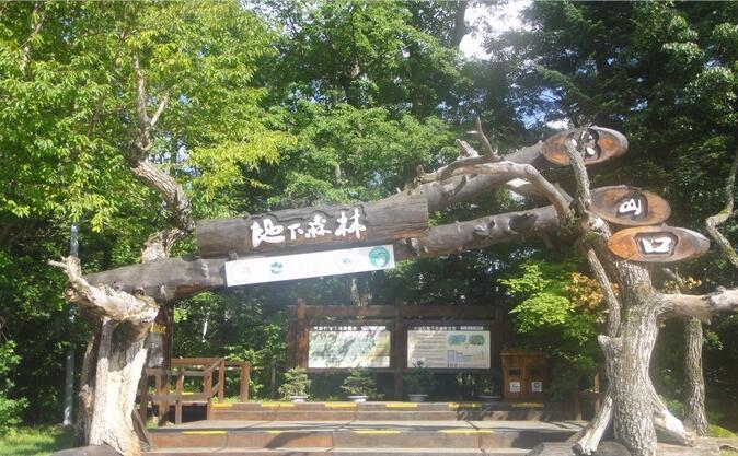 黑龙江牡丹江市有什么区,黑龙江牡丹江属于哪个地级市