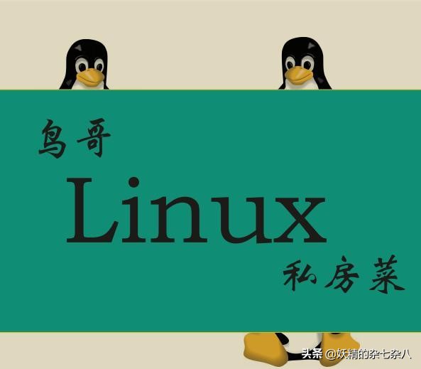 解读鸟哥的linux私房菜,鸟哥的linux私房菜心得