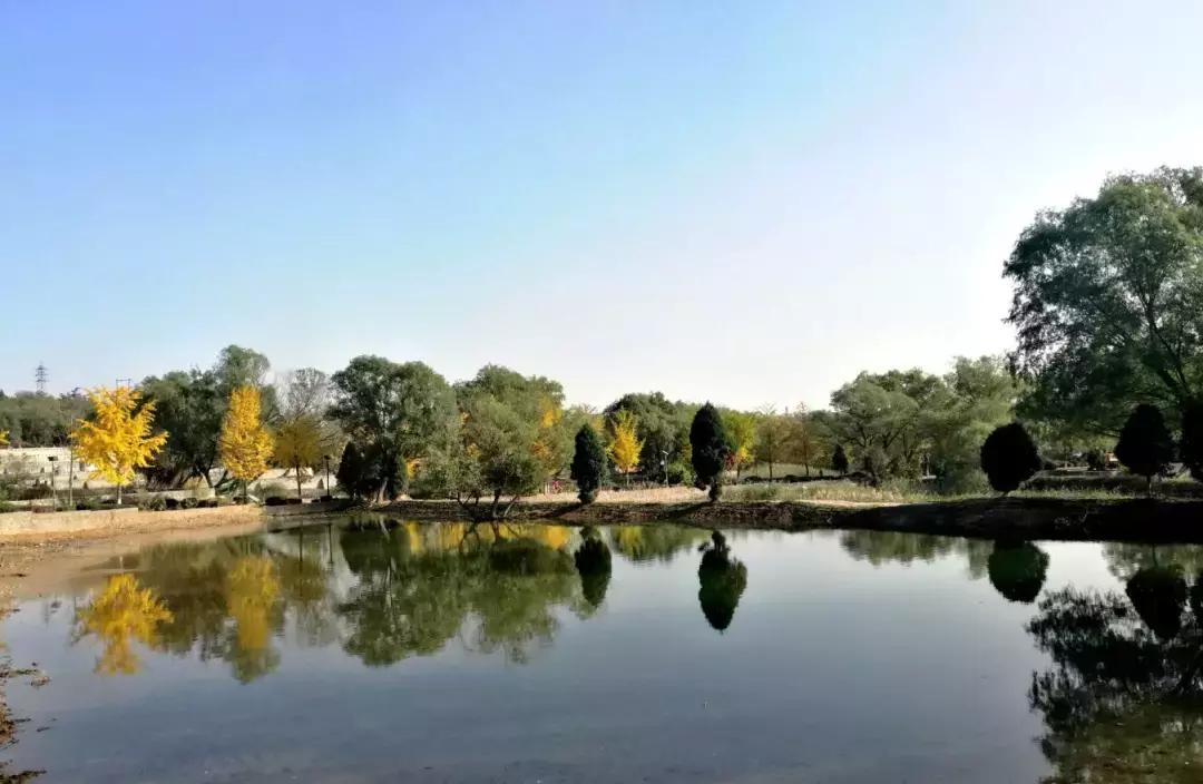 北京小众湿地公园免费,北京周边湿地公园