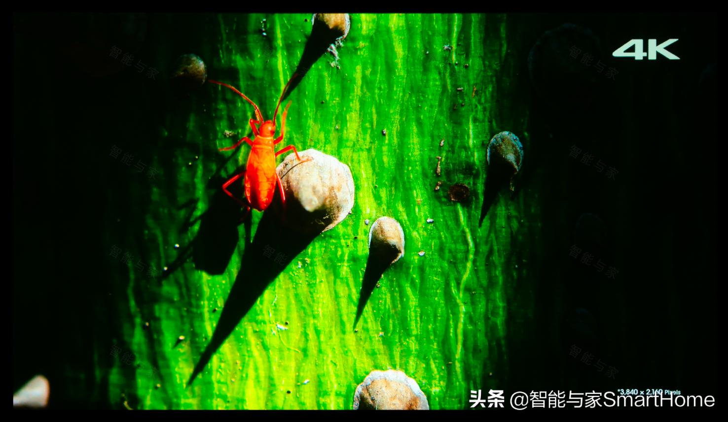 索尼投影vpl-vw558,索尼VW598原生4K投影机