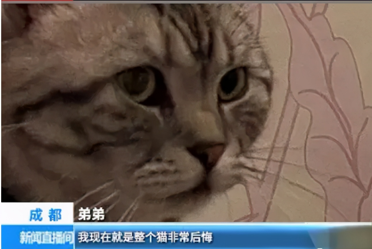 喜欢上了房东怎么办,喜欢上了房东该怎么办