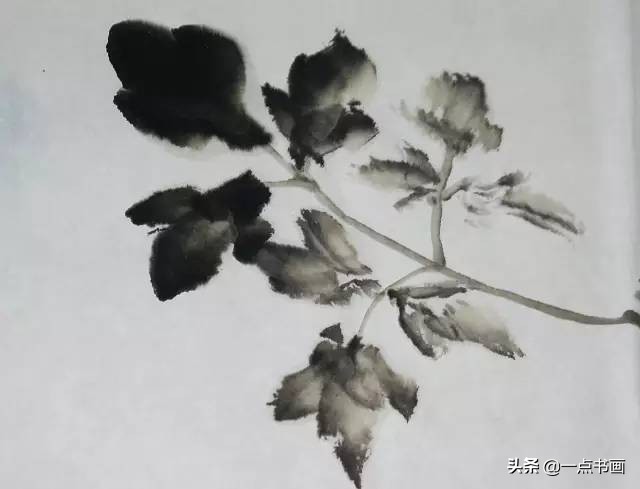 王绣写意牡丹画法步骤,王兮然写意牡丹画法视频大全