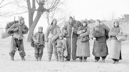 爱尔兰饥荒真实事件,爱尔兰饥荒真实原因