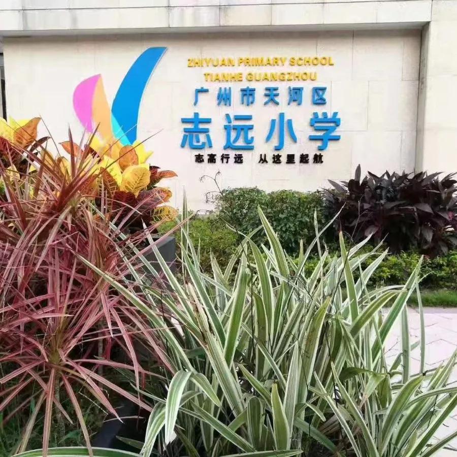 天河区志远学校,天河区志远小学最新消息