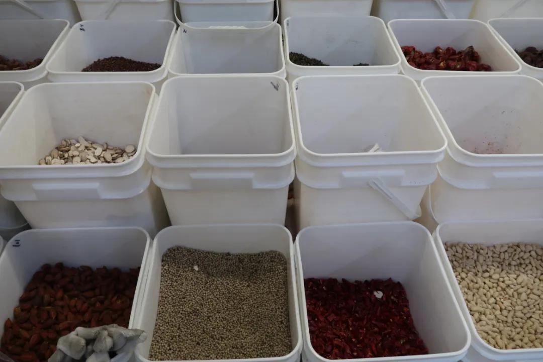 在这个足足2万平的奇妙海鲜“商场”，我找到了赚钱的动力