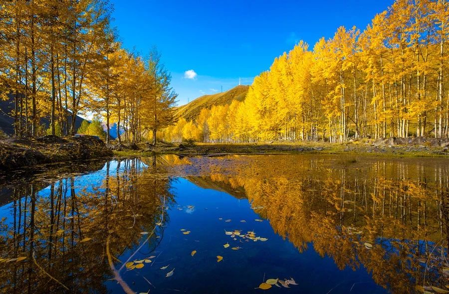 川西到底有什么魔力吸引着,川西为啥旅游资源多