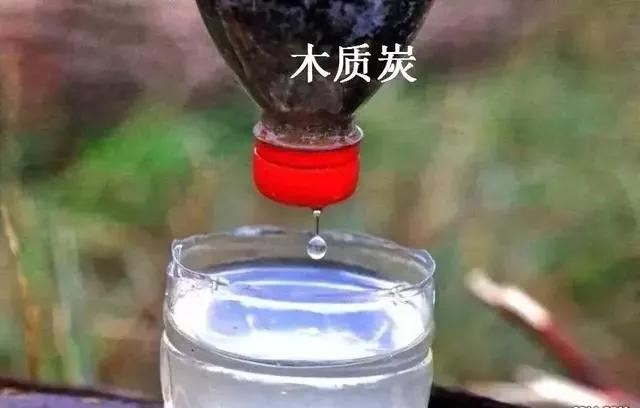 野外求生净化水的方法,野外生存取水的正确方法