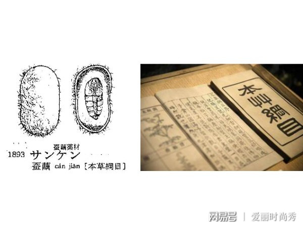 chkgene免疫修复,chkgene新风口