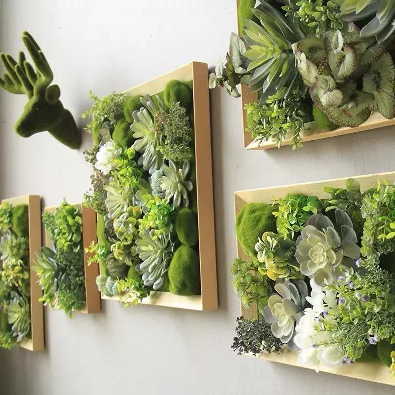 可爱又迷人的绿色植物,仿真绿色植物图片大全