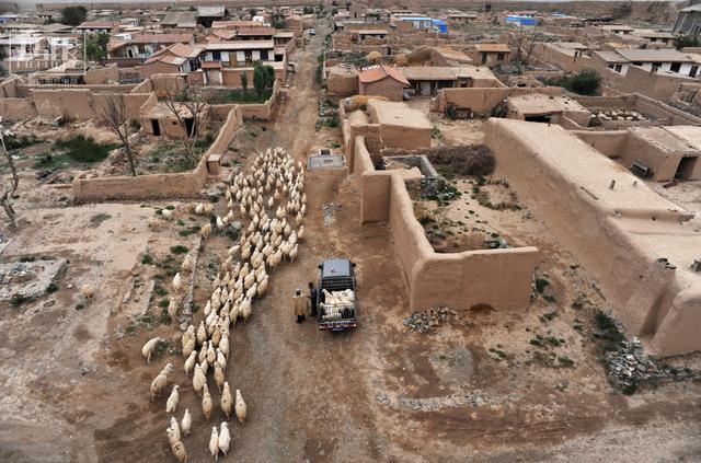 苏罗维金防线军事意义高吗,战争中的防御设施