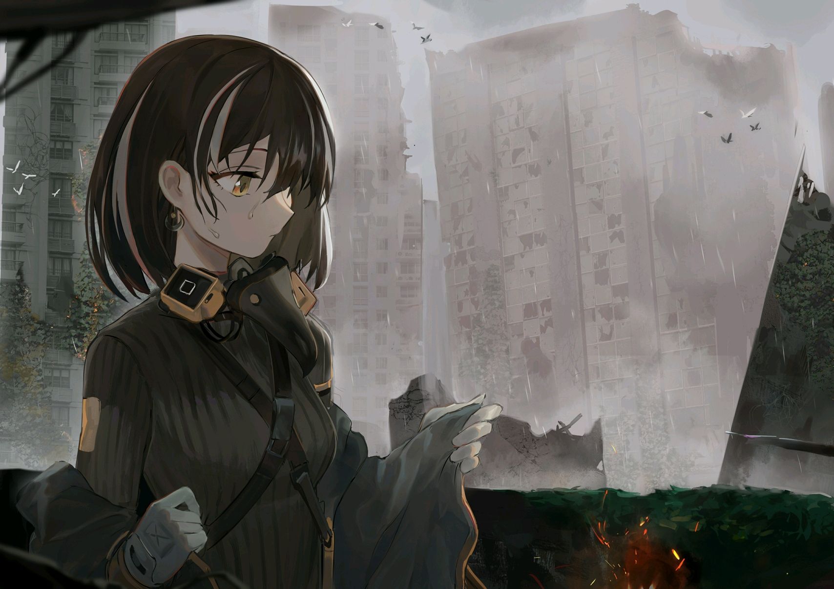 明日方舟麦哲伦是什么企鹅,明日方舟麦哲伦企鹅图文