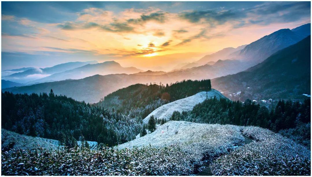 走进雅安⑦荥经：尽情“森”呼吸的奇妙之旅