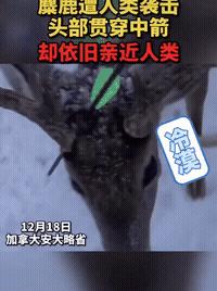 娌欓洉鍢熷槦缃戝惂鎼炵瑧瑙嗛,娌欓洉缃戝惂鎼炵瑧瑙嗛