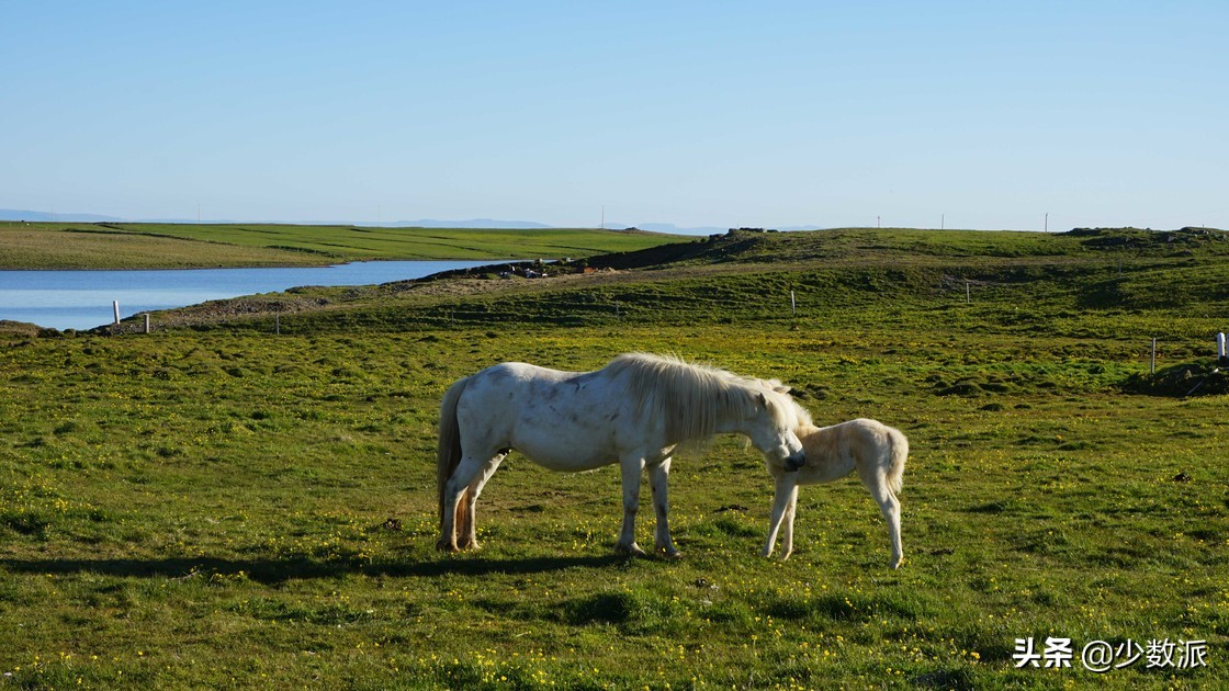 10天5000块钱旅游,冰岛7天自驾游详细攻略及住宿