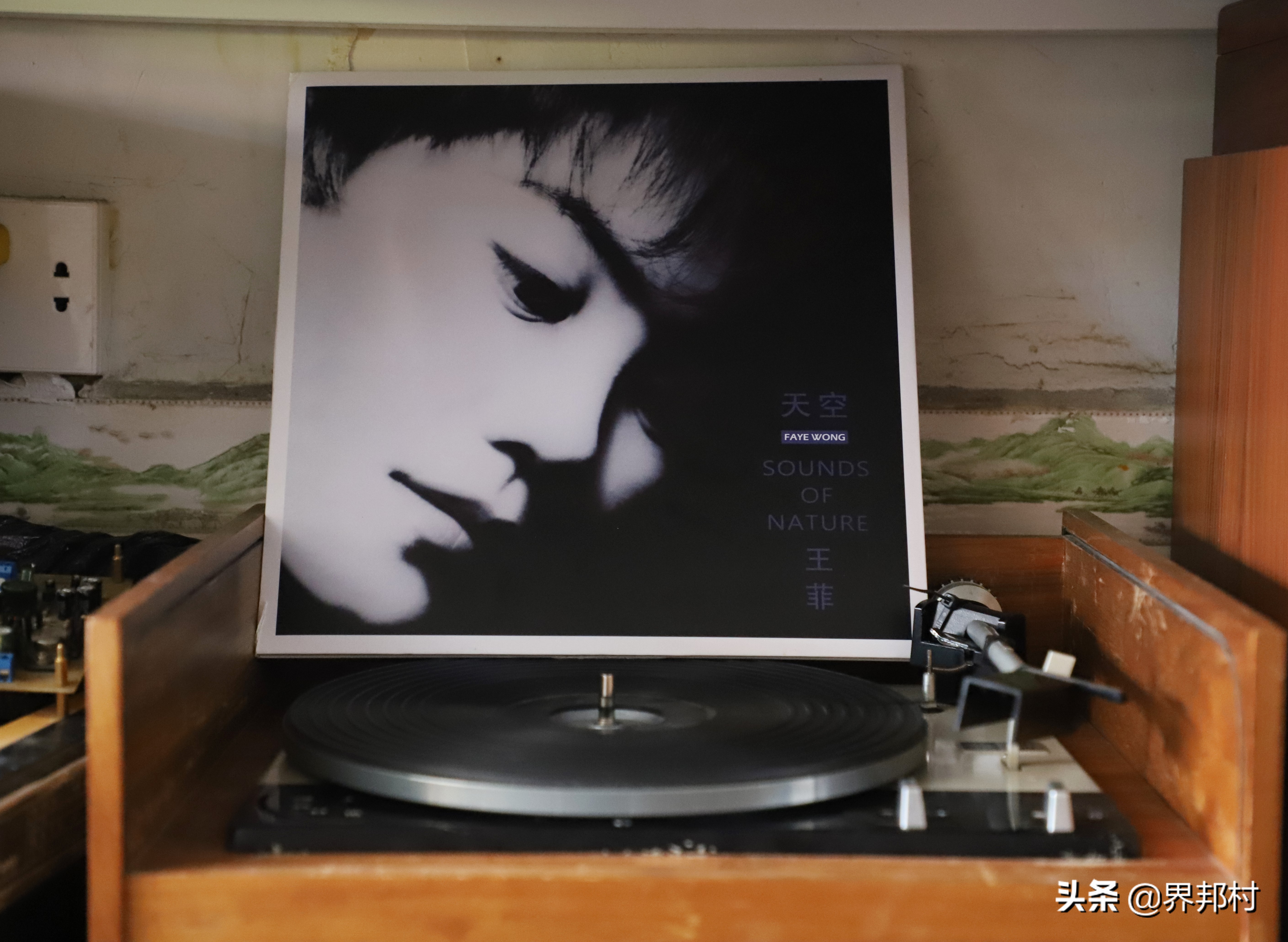 别小瞧这个二手音响店，有的是我们买不起的好宝贝，平时都藏着呢