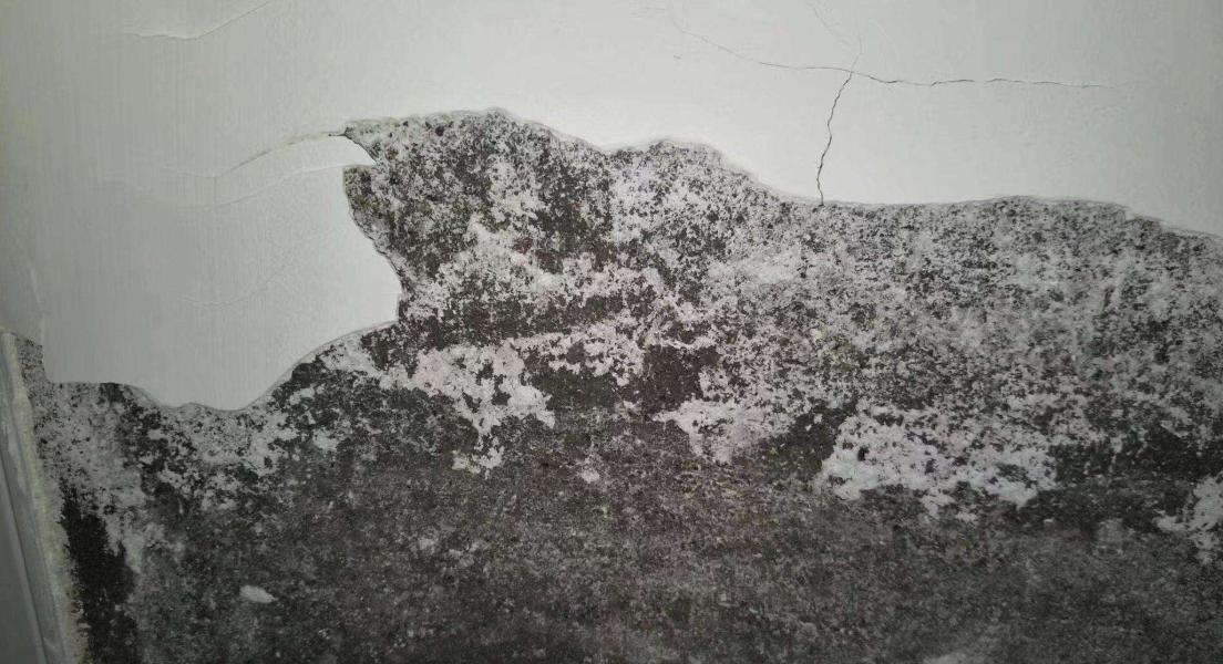 房子装修墙面返碱怎么办,新房装修反碱怎么处理