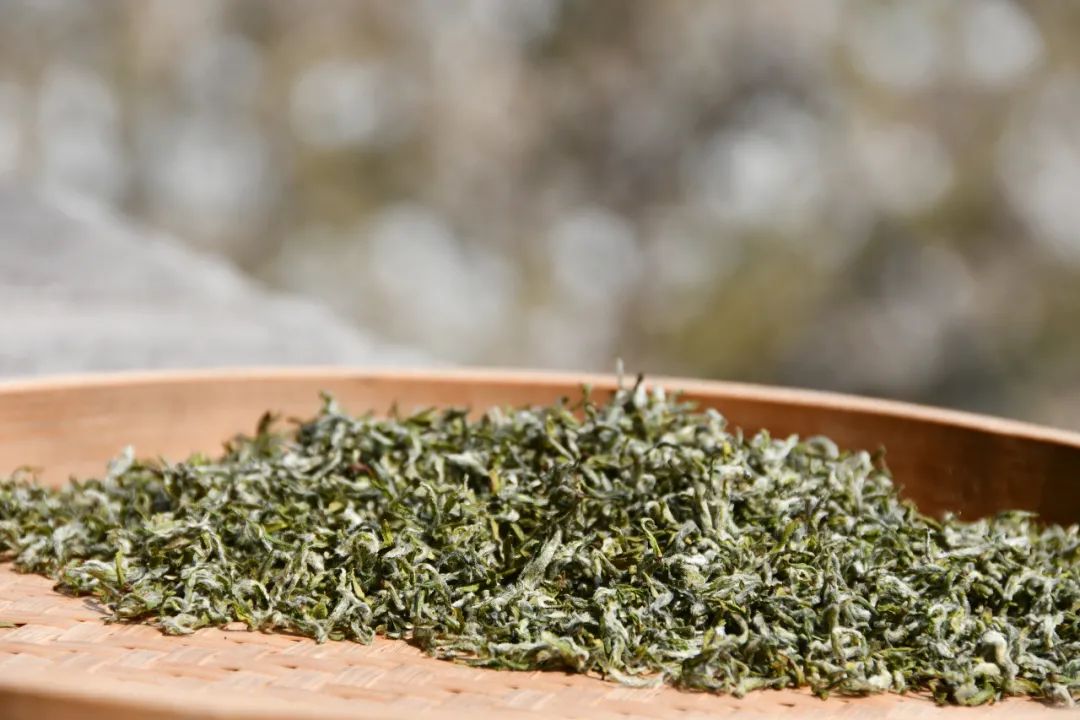 我们争分夺秒加班加点,就是为了奉上今春这第一波蒙顶皇茶!