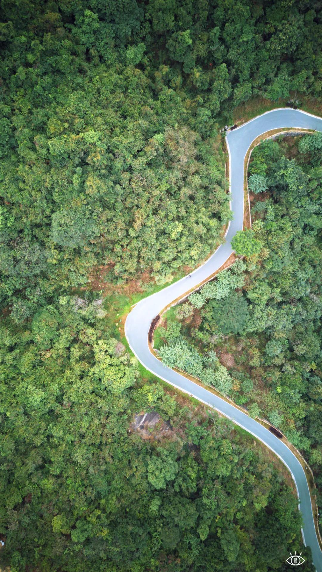 深圳这10条绿道你去过没,深圳十大绿道排行榜