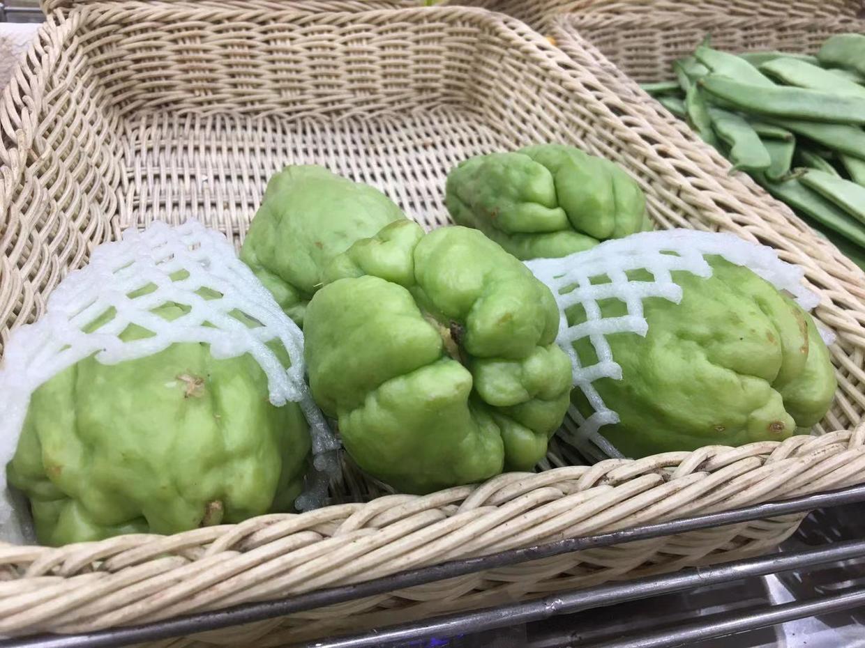 佛手瓜种子种植方法和时间,什么样的佛手瓜才能拿来做种子