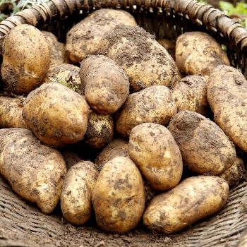 村里的女人们164,村里的女人