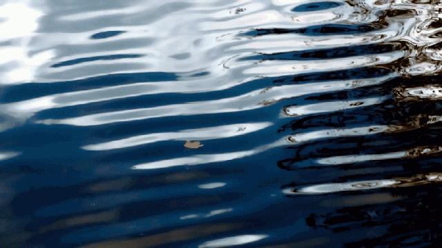 常德中梁首府滨江二手房,常德市鼎城区中梁滨江首府二手房