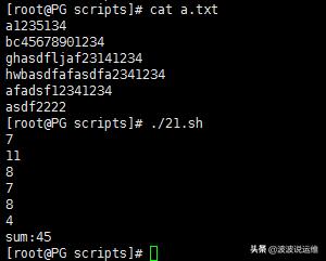 30个关于shell脚本的经典案例,shell脚本基础知识讲解