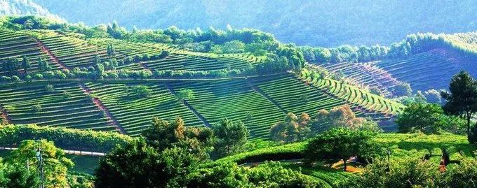 多少天能玩遍广东5a景区,广东5a旅游景点大全推荐图