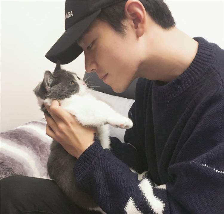 男明星为何喜欢养猫,为什么都说男生不能养猫