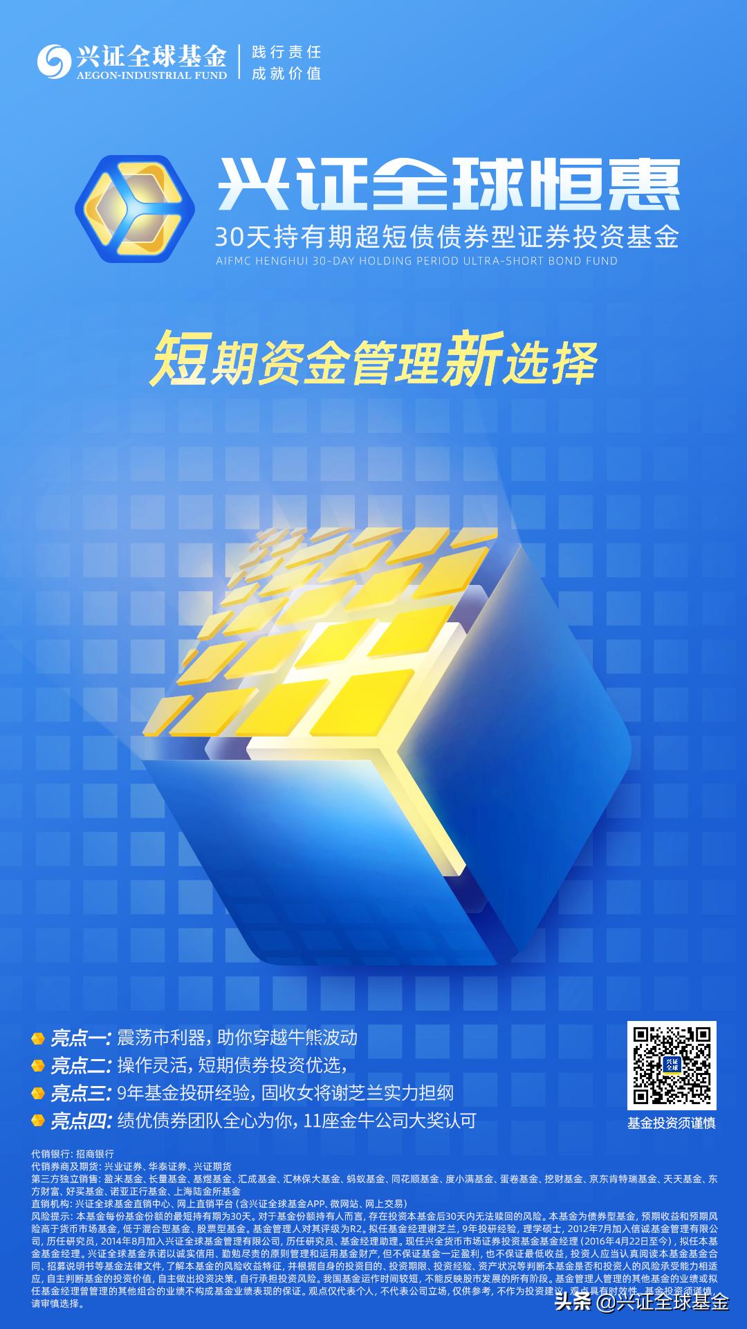 兴证全球优选稳健六个月持有债券,兴证全球恒惠30天持有期超短债c