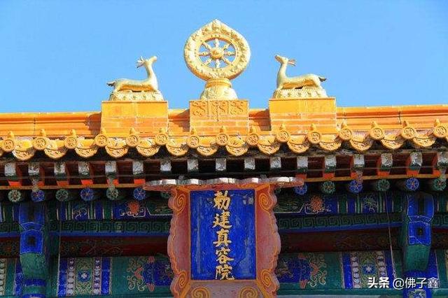 五台山适合打卡的寺庙,五台山和尚寺一日游