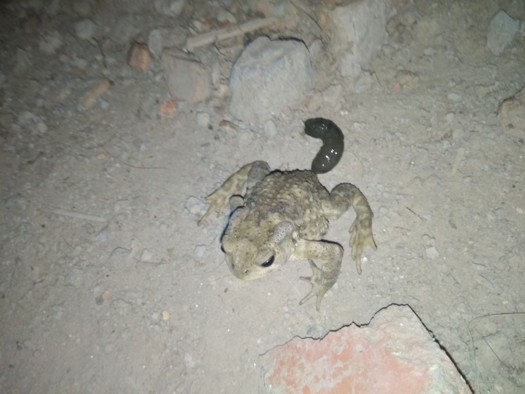 最不讲卫生的女孩是什么样子的,现实中最不讲卫生的女孩