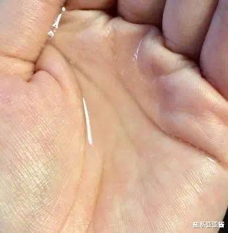 coser必备护肤好物盘点,日本cosme大赏美容仪