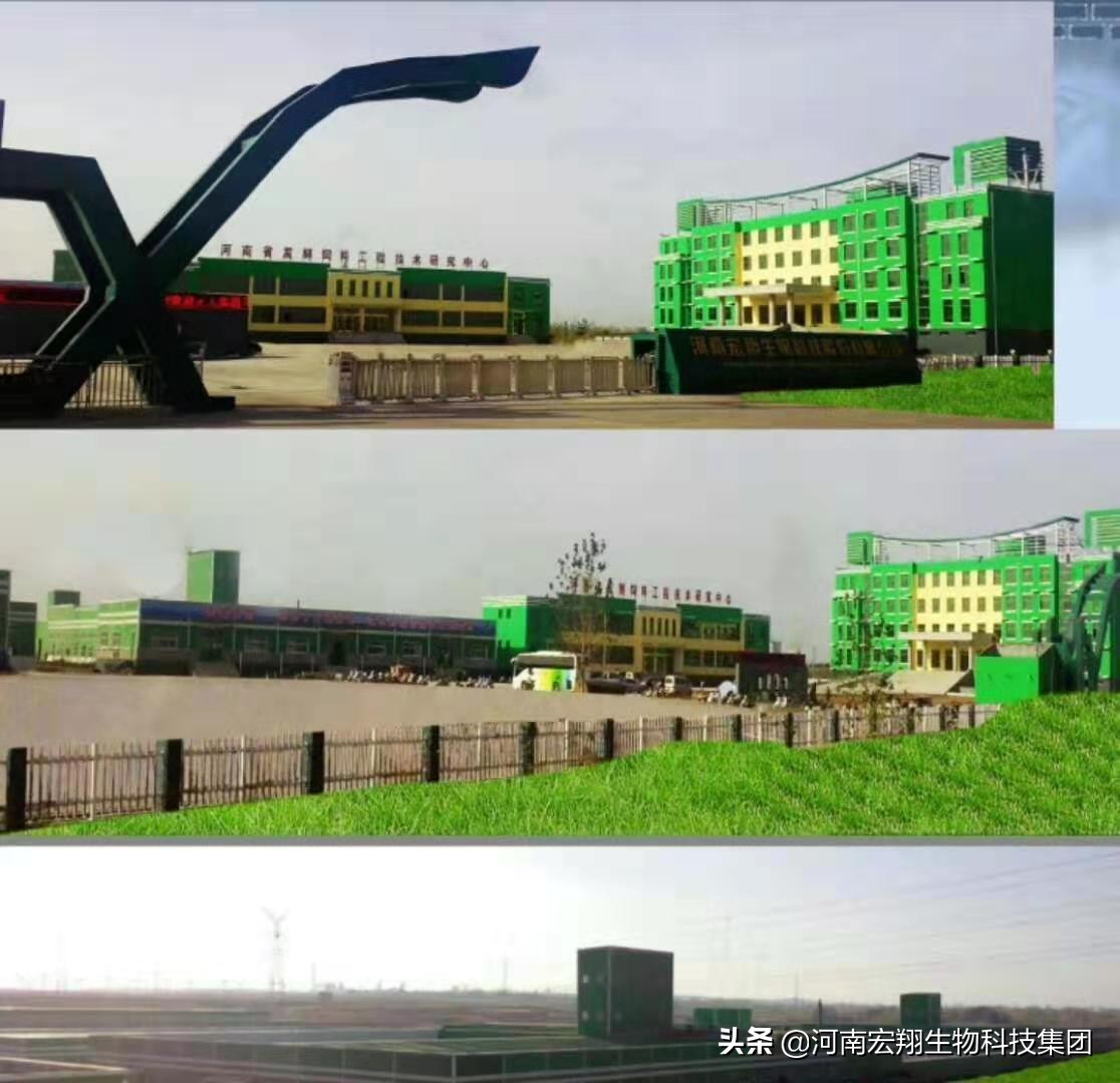 无抗保健养猪,无抗高效健康养殖