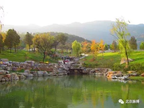北京国家森林公园风景,画说北京故事