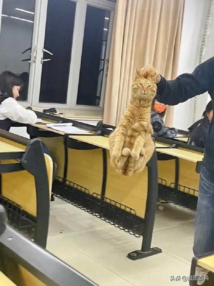 钱不是大风刮来的却是大风刮没的,谁说钱不是大风刮来的