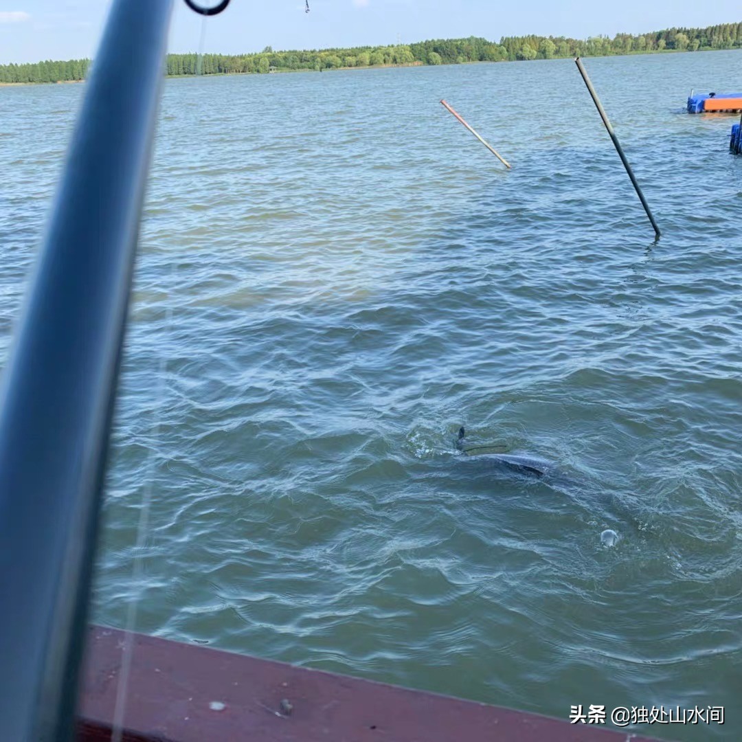 垂钓最好的乐趣,在垂钓中突然想到了一个小技巧