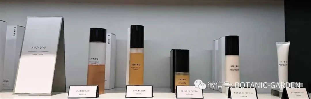 A-Z理研理化研究所简介