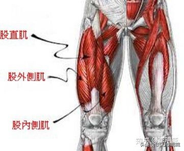 x型腿该怎么解决呢,x型腿怎么治