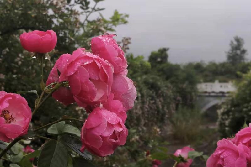 如何面对你讨厌的群体,面对讨厌的人怎么控制自己的情绪