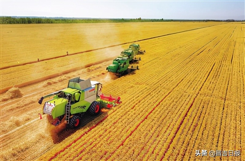 奇台县发展潜力,奇台县最新发展信息