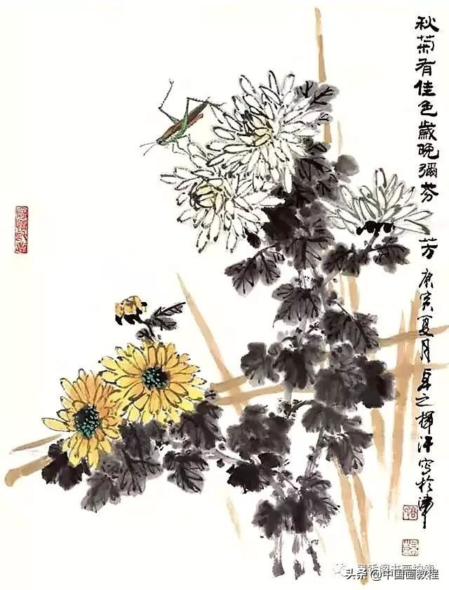菊花花头花苞画法,菊花花头的画法步骤图片