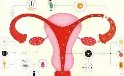 卵巢早衰来势汹汹？这5点是早衰“信号灯”，女性快自查