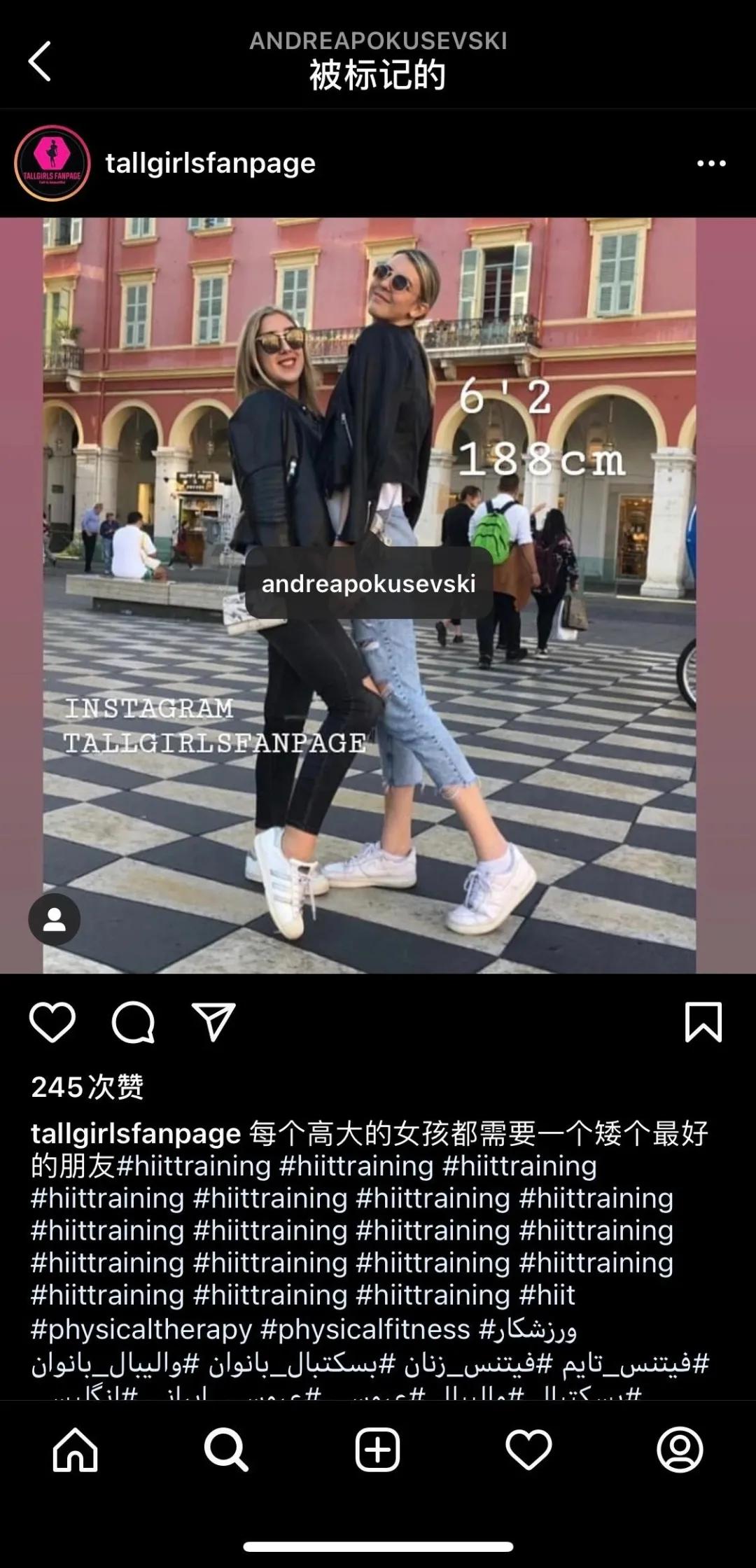 鍦哄潎12.5鐩栧附,鍦哄潎12鐩栧附