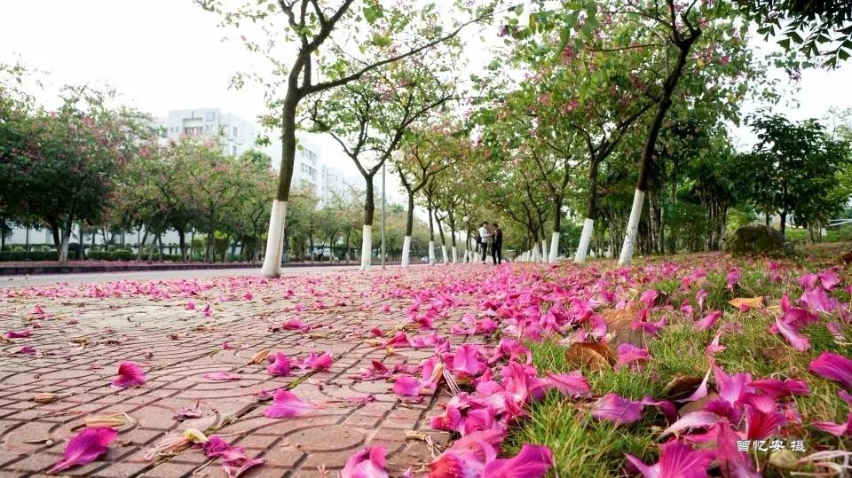 广东科学技术职业学院中专分数线,广东科学技术职业学院有本科嘛