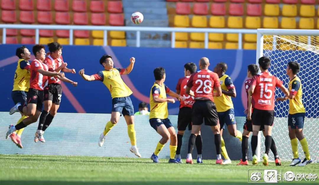 西北狼vs西伯利亚狼,西北狼vs犀牛