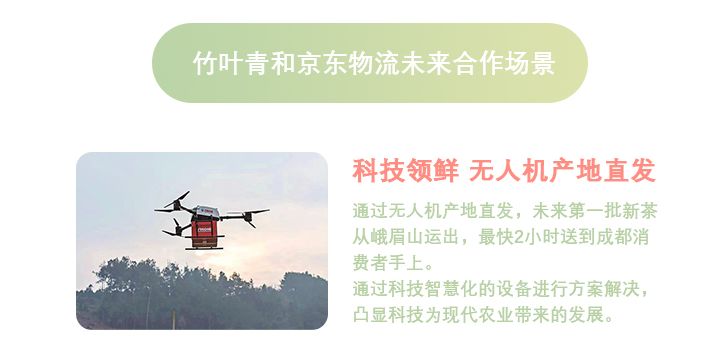 春茶旺季，京东物流走进竹叶青，揭开“城市茶叶消费”的神秘数字